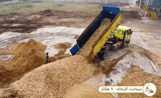 معرفی ساوین چوب البرز